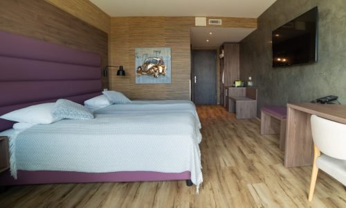 superior-twin-room